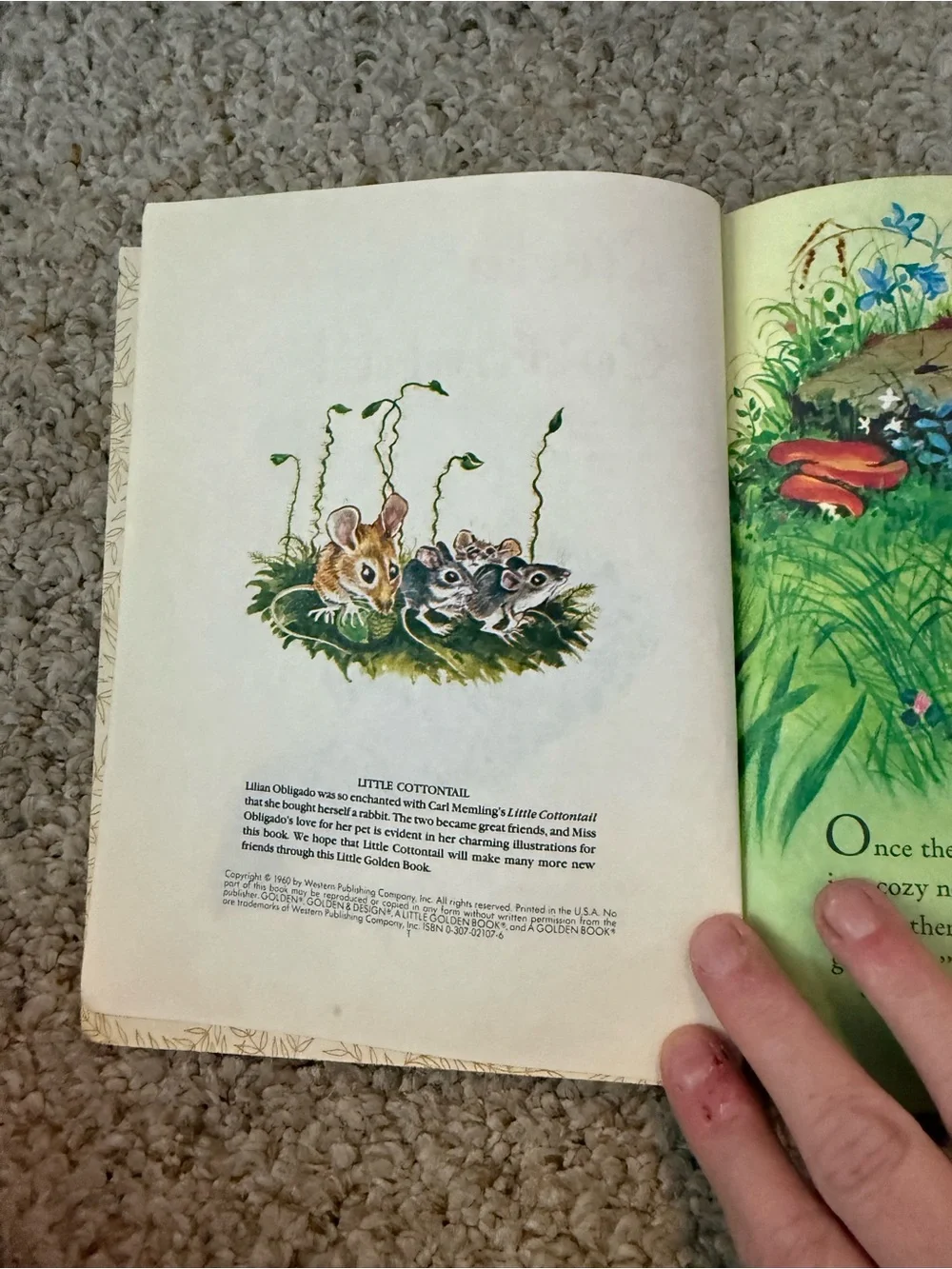 Little Cottontail Children's Book - Blue Cover by Little Golden Book